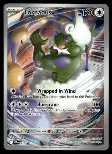 2025 Scarlet & Violet Black Star Promos Pokemon Tornadus SVP 210 NM