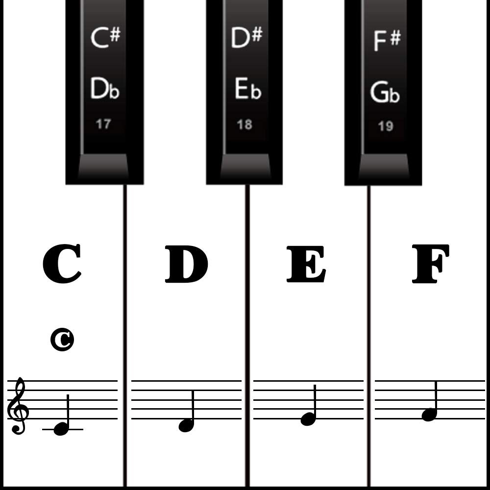 Piano Keyboard Stickers for Beginners, Reusable & Protective