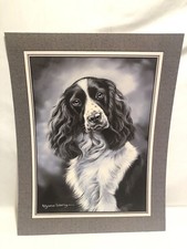 1998-Pollyanna Pickering &ldquo;ENGLISH SPRINGER SPANIEL&rdquo; Dog-Black & White Art Print