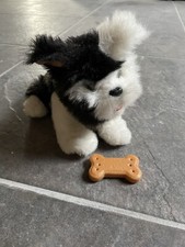 Fur Real Friends puppy Hündchen Hund Knochen Hasbro Tiger Toys Spielzeug