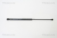 Triscan Heckklappen DäMpfer Gasfeder Kofferraum 8710 66201 FüR Seat Leon 1P1 TSI