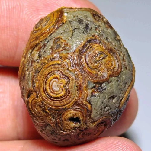 100% Natural Gobi Agate Eyes Agate Stone Collection Specimen