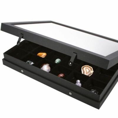 SAFE 5676 Vitrine Black-Edition mit 24 Fächern