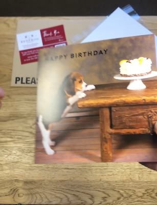 Maturi Blanko-Glückwunschkarte Mit Beagle-Foto – 300 G/m², Inkl. Umschlag, Umweltfreundlich