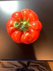 Royal Bayreuth Bavaria Porcelain Tomato Covered Lid Dish VERY CLEAN — photo 1