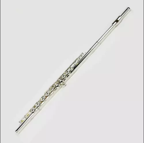 NEW 2024 YAMAHA Flute YFL - 222 hard with In Beautiful Box - Picture 1 of 6