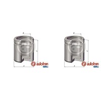 2X Autofren 48Mm Kolben Bremssattel Vorne Passend FüR Ford Courier Fiesta KA MIN