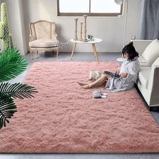 DweIke Fluffy Shaggy Area Rug, Pink Plush Rugs for Living 6 ft x 9 ft, 