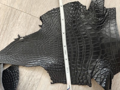 GENUINE CROCODILE SKIN クロコダイル 特注⭐️ Amazon.com: Pelgio Genuine Crocodile Alligator Foot Claw Skin