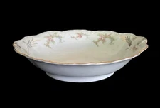 Vintage TK Thun NORMANDIE Bohemia Czechoslovakia Floral 10" Oval Serving Bowl