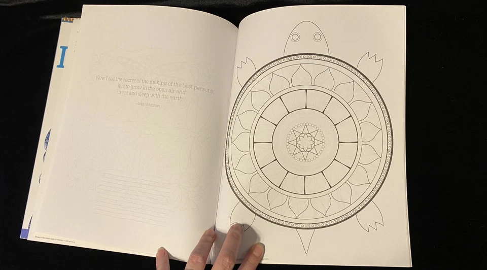 Design Originals Coloring Book Mandalas Inspiration Technique Guides Art - Image 4 of 4