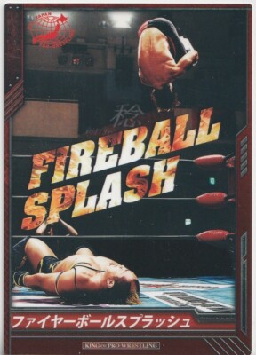 Minoru Tanaka 2013 Bushiroad King of Pro Wrestling #BT04-095-C