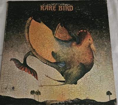 Rare Bird - Rare Bird - Probe, ABC Records - CPLP-4514, CPLP-4514-S - LP, Album