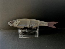 Galapagos Grace 240F Frost Pearl