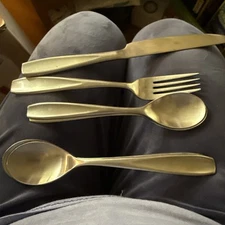 Cambridge Stainless Steel Silverware - Satin - China Lot Of 6