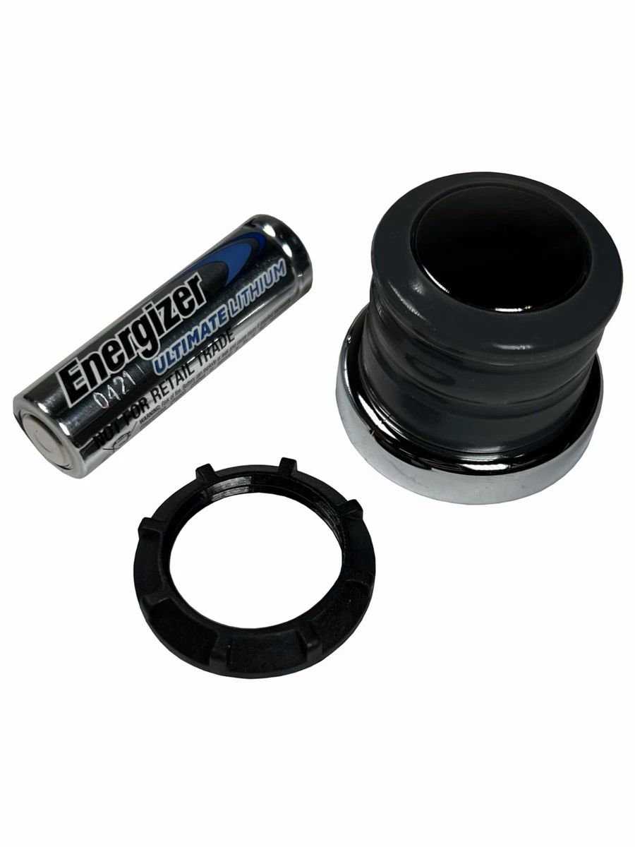 er 66836 Igniter Genesis 300