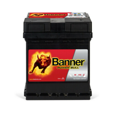 Banner Power Bull P4208 12V 42AH 390A
