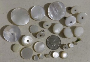 Mixed Lot of 25 Vintage Carved Mother of Pearl Shank Buttons, Many Sizes  (#2)