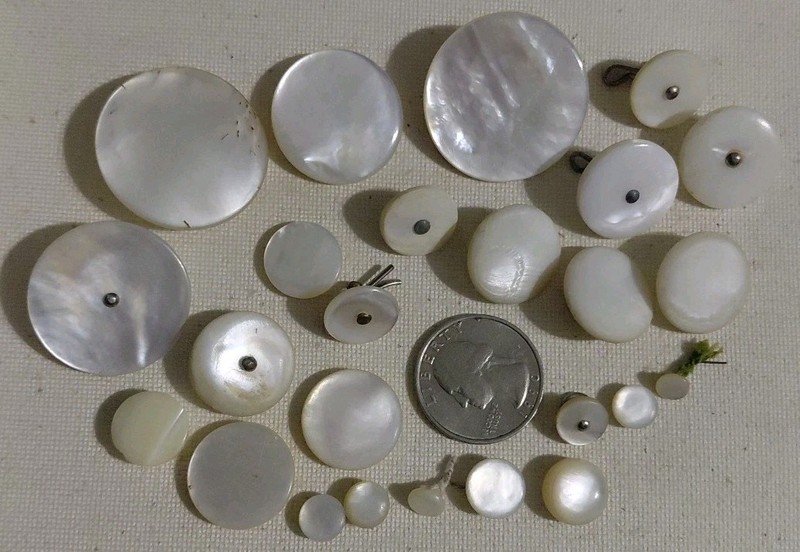Mixed Lot of 25 Vintage Carved Mother of Pearl Shank Buttons, Many Sizes  (#2)
