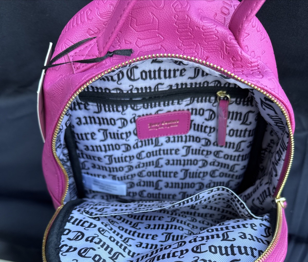 Juicy Couture NWT  Romantic Rose Love Lock Embossed Mini Backpack Y2K Juicy Couture Heart Mini Backpack Brown/ Pink | Mercari main image 3