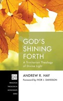 Andrew R. Hay | God's Shining Forth | Buch | Englisch (2017) | Gebunden