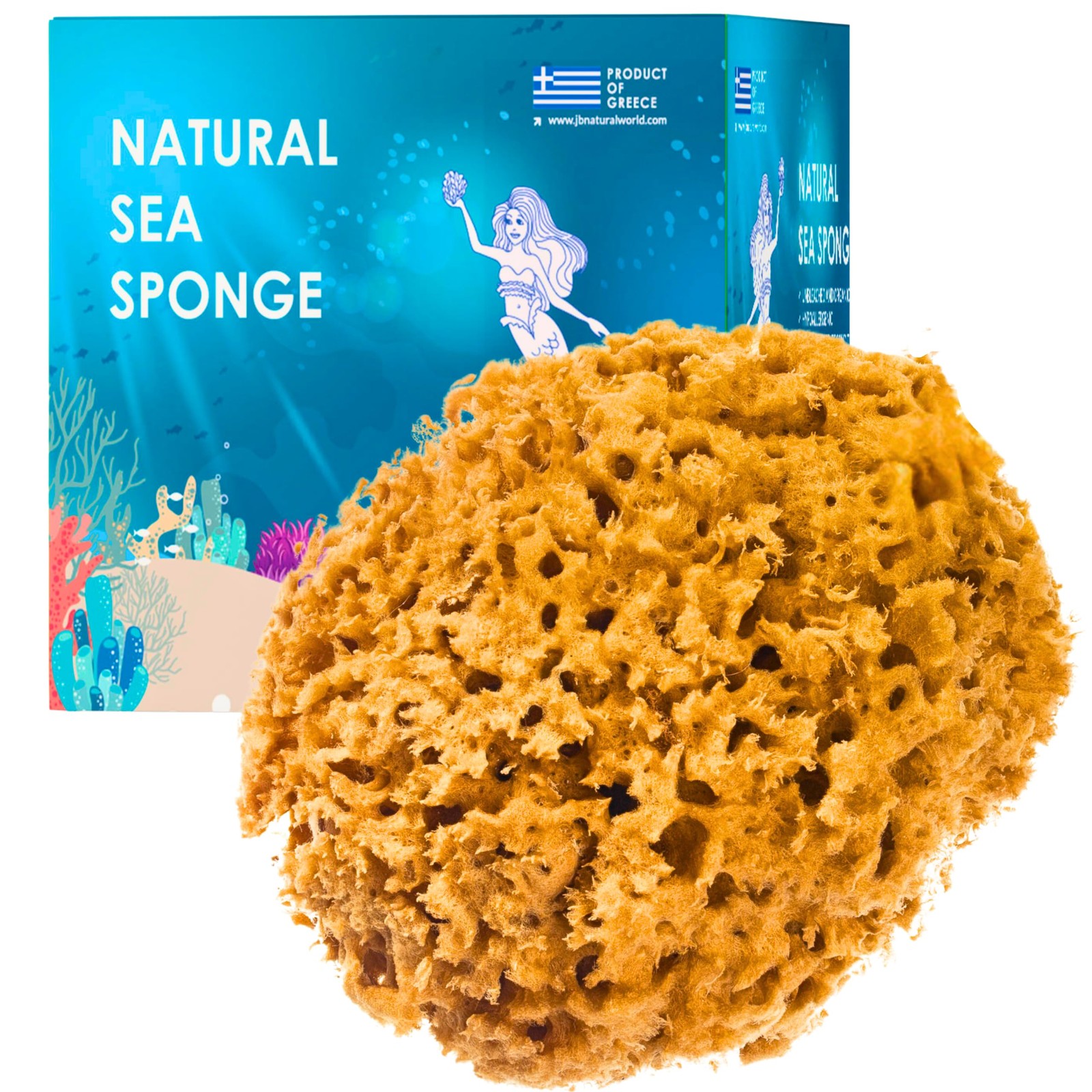Jordan Benedict Natural Sea Sponge - Unbleached Durable Natural Honeycomb Sea Sponge For Bathing, Shower, Exfoliating, Make-Up For For Babies, - Image 3