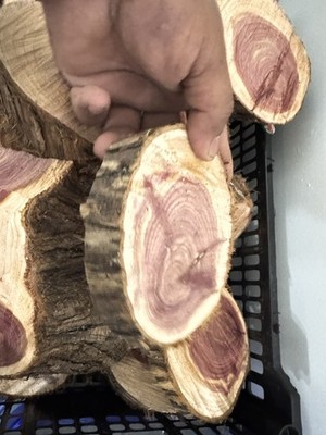  VIBRANT RED CEDAR LIVE EDGE WOOD COOKIE FOR RUSTIC WOOD PROJECTS SMELLS NICE 