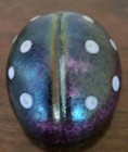 Bild 4 von 12