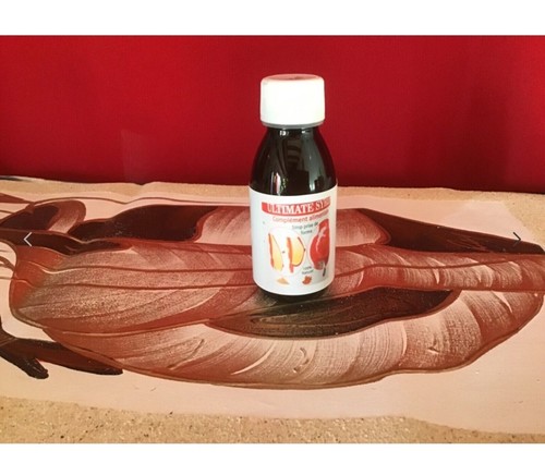 ULTIMATE SYRUP PRISE FORME 100% NATUREL ABASE FENUGREC KIGELIA GINSENG - Foto 3 di 4