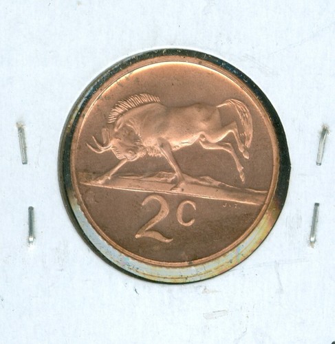 1969 SOUTH AFRICA ENGLISH 2 CENT FINEST PROOF CAMEO RED 99 CENTS SHIPPING - Picture 2 of 2