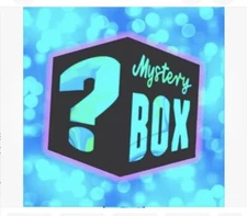 11 PIECES Bulk Lot Women's Clothing Designer Brand Names Xs Small Mystery Box