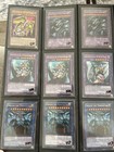 Foto 12 di 23