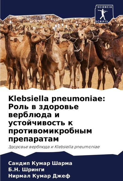 Sandip Kumar Sharma (U. A.) | Klebsiella Pneumoniae: Rol' W Zdorow'e WerblüDa...-image