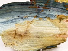 A+ Larsonite( Gary Green, Freedom) Jasper Slab, Lot#455