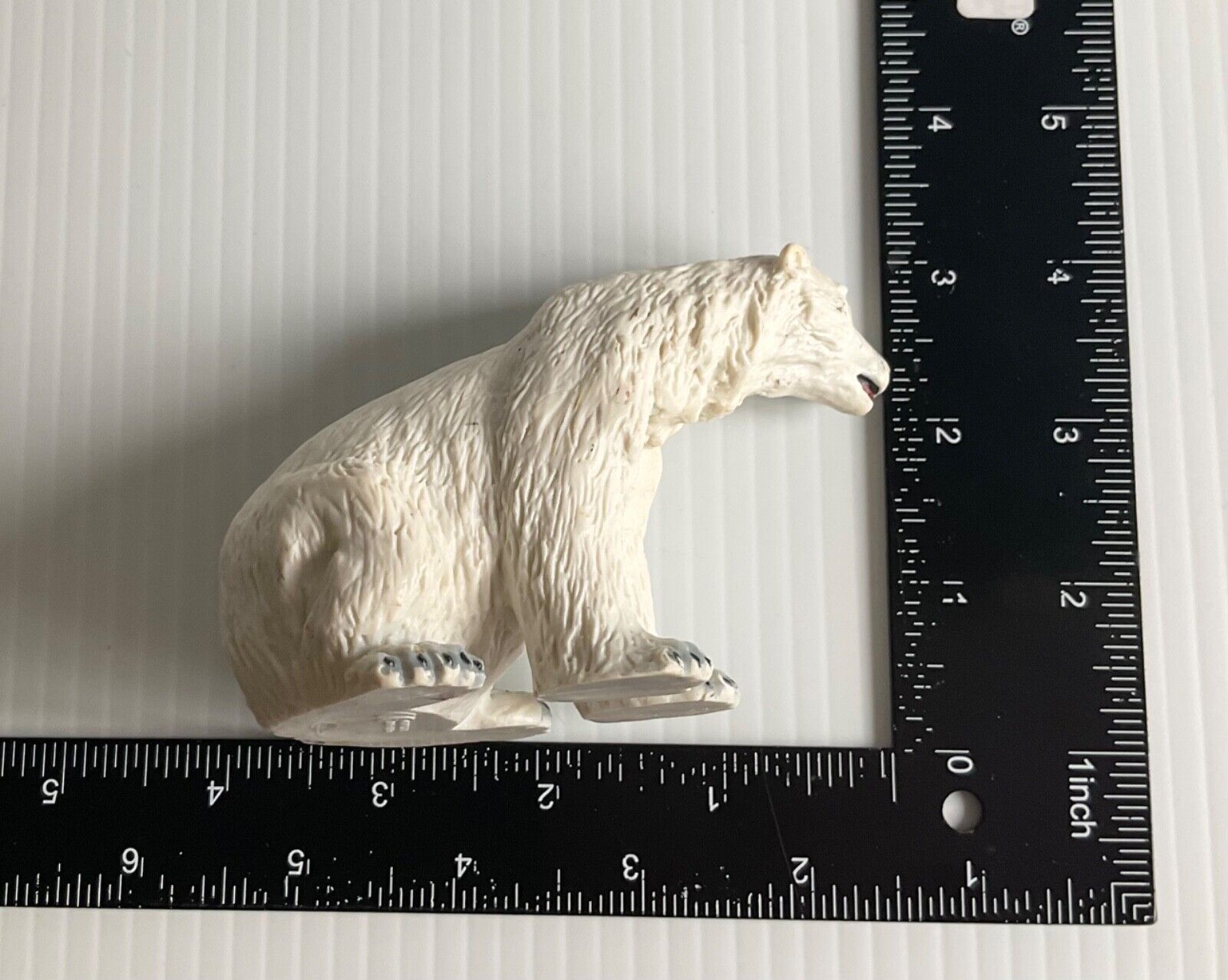 Picture 5 of 13