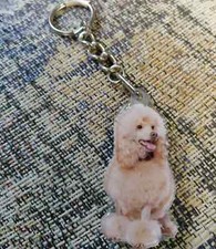 Cute White Poodle Dog Animal - Mirrored Back Sealed Keychain