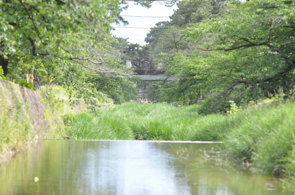 [¡Probado!/N COMO NUEVO] Lente teleobjetivo Nikon Ais Ai-s Nikkor 135 mm... - Imagen 4 de 4