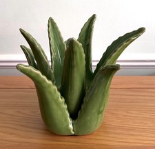 Green Ceramic Cactus Succulent