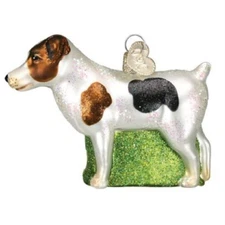 Old World Christmas Jack Russel Terrier Glass Tree Ornament FREE BOX 12218