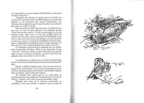 La GIBECIÈRE de mon PÈRE Jean MAISONABE Aveyron ZEICHNUNGEN der FAUNE von LAMOTTE - Bild 20 von 24