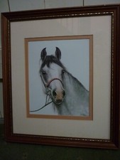 Arab Horse framed print in double mount, Lesley Ann Thomas 1993
