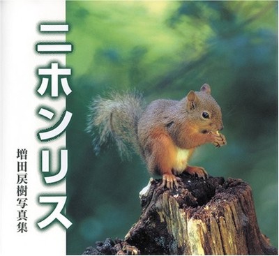 Japanisches Eichhörnchen Fotosammlung von Masaki Masuda