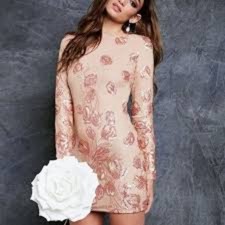 Dress the Population Nude/Copper Sequin Dress, Size Small