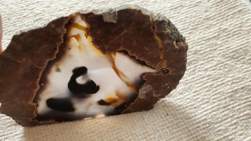 Thunderegg Slab Oregon 5" x 3 1/2" x 3/16" 6.7 oz  190 gr  #133 - Picture 5 of 5
