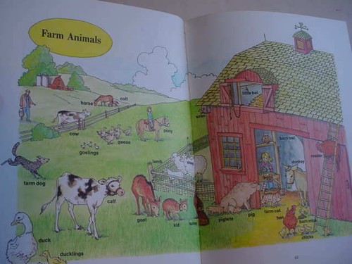 MY WEEKLY READER PICTURE WORD BOOK JO JO Monkey VINTAGE 1975 - Picture 8 of 14