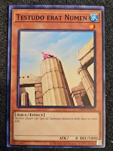 Testudo Erat Numen OP21-EN014 Common NM Yugioh Card