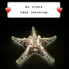 Handmade Ceramic Stone Starfish Table Lamp Star Night Light Christmas Gift CL3