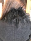 Bild 5 von 9