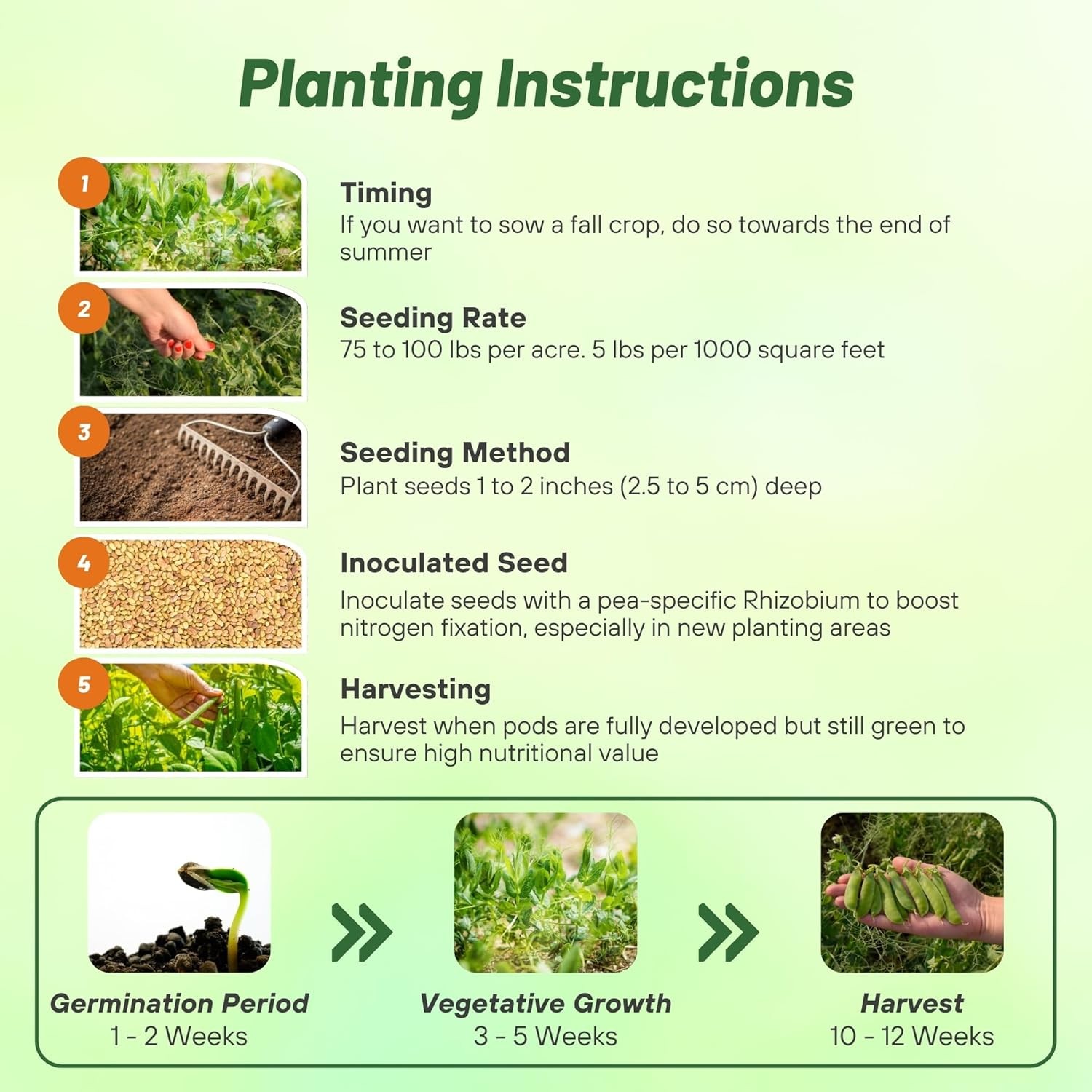 5 LBS Field peas for cover crops and food plots