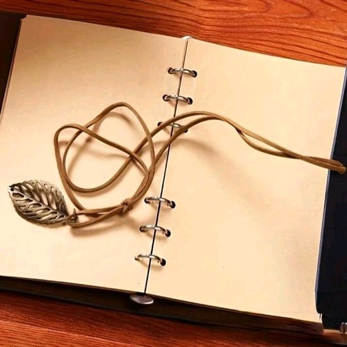 journal notebook - Picture 2 of 3